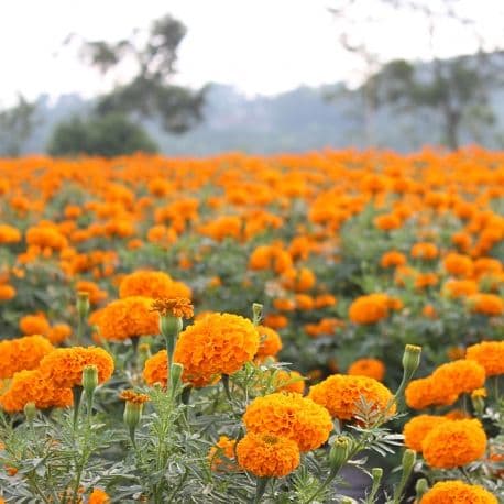 3 Tempat Romantis Ini Belum Ramai Pengunjung, Cocok untuk Traveling Bersama Pasangan Ideal!